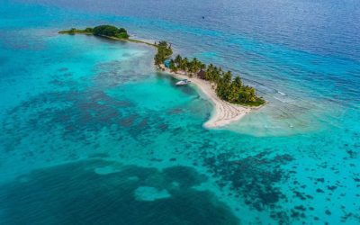 Jungle Meets Sea at Laughing Bird Caye