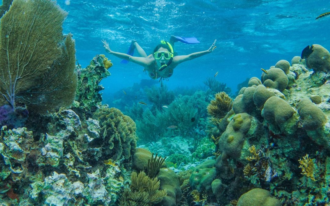 Snorkeling Belize’s Barrier Reef: A Living Wonder